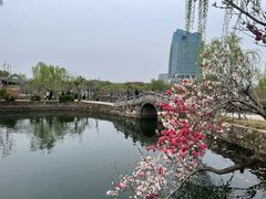-无锡蠡湖国家湿地公园-蠡园