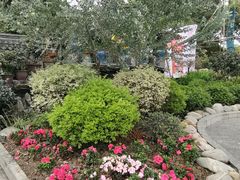 -三圣花乡旅游区