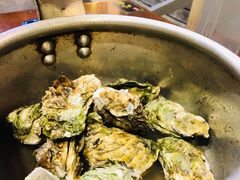 -庆合府重庆大排档(紫都城店)