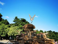 -长春市南湖公园