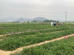 -狼牙山风景区