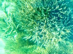 -蓝湾海滩