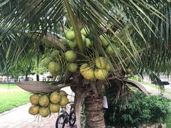-吐斯廉屠杀博物馆