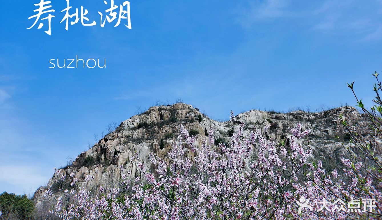 春季寿桃湖踏青攻略——历史遗留下来的美