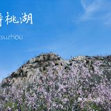 春季寿桃湖踏青攻略——历史遗留下来的美