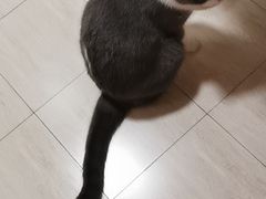-宠颐生宠物医院外科·内科·皮肤科·影像科(石龙店)