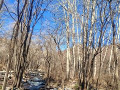 -玉渡山自然风景区