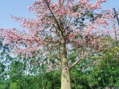 -清远熹乐谷温泉度假酒店