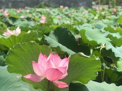 -周洛大峡谷