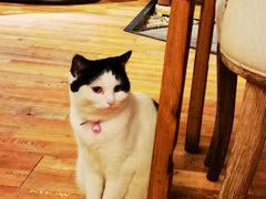 -么么咖啡(燕郊店)