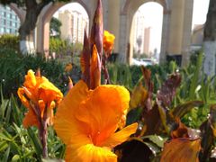 -DQ·蛋糕·冰淇淋(海伦国际店)