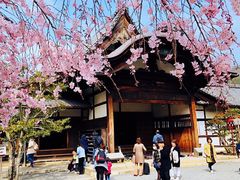-醍醐寺