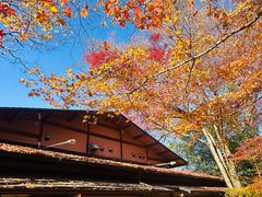 -三千院