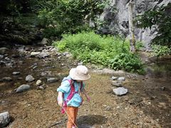 -青峰峡国家森林公园