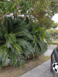 -产后帮产后修复(首城国际店)