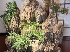 -成老灶火锅鸡(平山店)