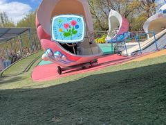 -朝阳公园游乐园