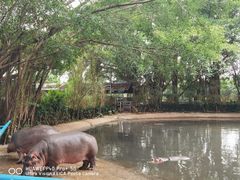 -广州长隆飞鸟乐园