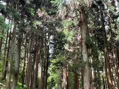 -罗田薄刀峰风景区