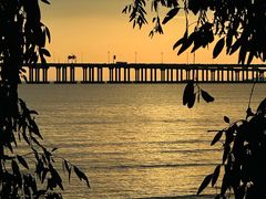 -宝安西湾红树林湿地公园