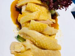 -Asianplus海蓝鸡饭