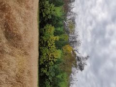 -汉长安城未央宫国家考古遗址公园