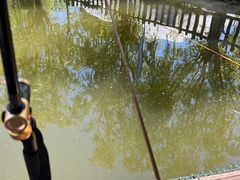 -酷鱼垂钓CLUB(朝阳区博大路店 )