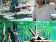 -灵玲国际马戏城