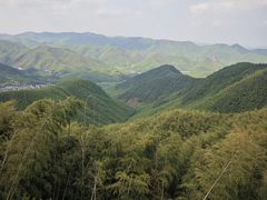 -莫干山风景区