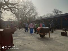 -大槐树寻根祭祖园