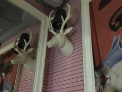 包房-自由港KTV(王子公主金平店)