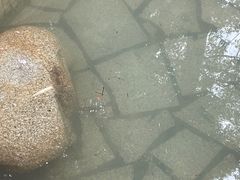 -三江森林温泉度假区