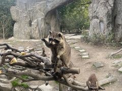 -宁波野生动物园