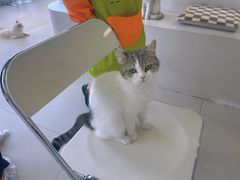 -怪兽屋·羊驼·猫咖·狗咖(俊华广场店)