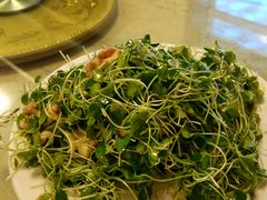 豆芽菜-迎宾楼饭庄(窦店)