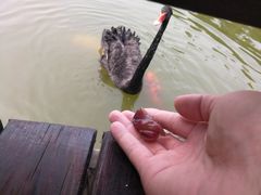 -芭东小镇温泉