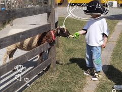 -前小桔亲子创意农场·草莓采摘·露营烧烤