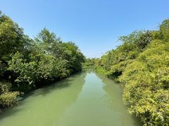 -西溪国家湿地公园