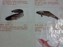 -诚成巫山烤全鱼