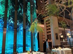 -桂满陇·海市蜃楼·黑金(国金店)