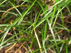 -牛背梁国家森林公园