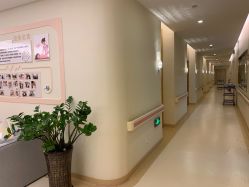 -莉泽月子中心(凯旋江景店)