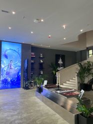 -十孕纪高端孕妇亲子摄影