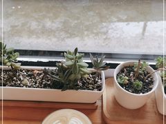 -Cafe Villa