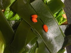 -探鱼·鲜青椒爽麻烤鱼(北京路天河城店)