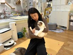 -COLOR PETS 撸猫馆·购猫·猫咖(长风大悦城店)