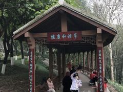 -重庆彩云湖湿地公园