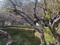 -晓港公园