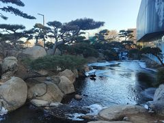 -罗红摄影艺术馆