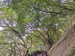-乌山风景区